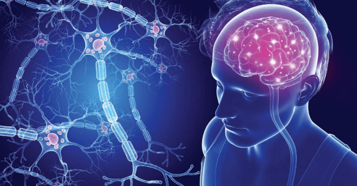 Desvendando a Esclerose Múltipla: Uma Perspectiva a partir do funcionamento do sistema nervoso.